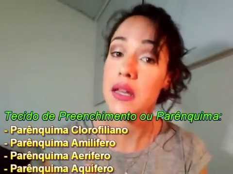 BIOLOGIA EM 5 MINUTOS - HISTOLOGIA VEGETAL - PARTE 1 - PROF. ANNA LIA