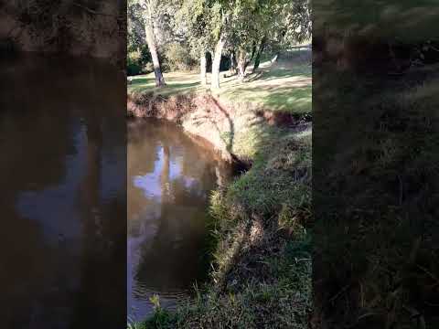 Camping municipal arroyo del medio  #camping #arroyo #naturaleza #misiones #argentina