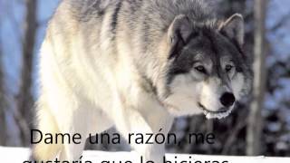 Three Days Grace - Give me a Reason (Sub Español)
