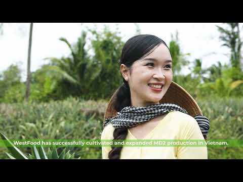 Phim giới thiệu WestFood - Giải pháp thông minh từ vùng nguyên liệu đến bàn ăn thế giới