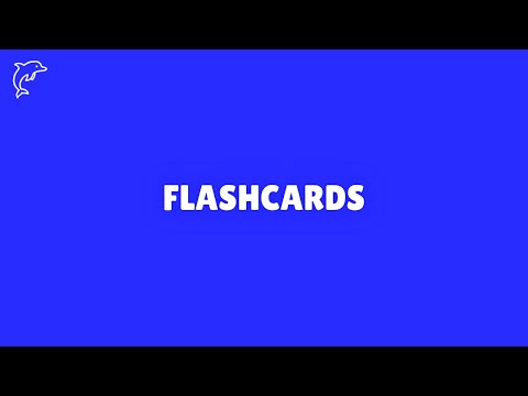 ErallMemory: Flashcards Study