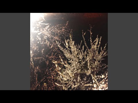 その箱の中に入る。