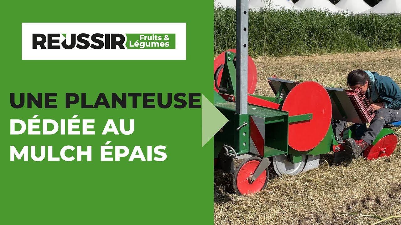 Maraîchage sous mulch : Mulchtec propose une planteuse maraîchère pour mécaniser la plantation