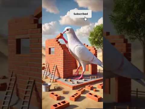 Farmer & Pigeon’s Dream Shattered |  Lightning Strikes in the Desert ⚡🔥