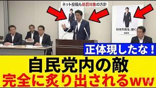【衝撃】国旗損壊罪審査会で自民党内の敵が完全に露呈！