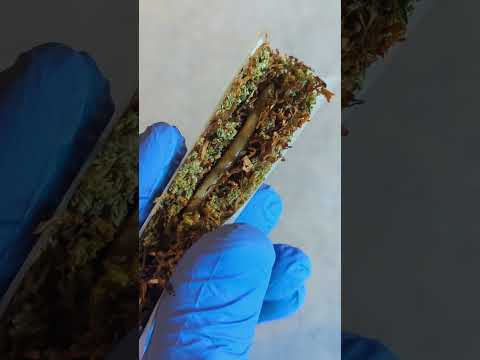 Rosin Donut Spliff Euro-Stylin #cannabiscommunity #cannabisculture #hash #spliff