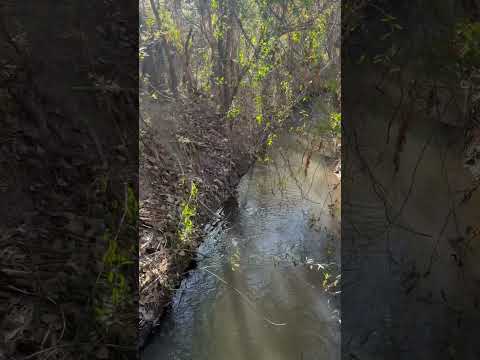 Riego por canal - campo en Santa Rosa del Conlara, San Luis
