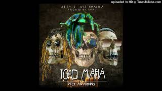 Wiz Khalifa &amp; Juicy J - Green Suicide