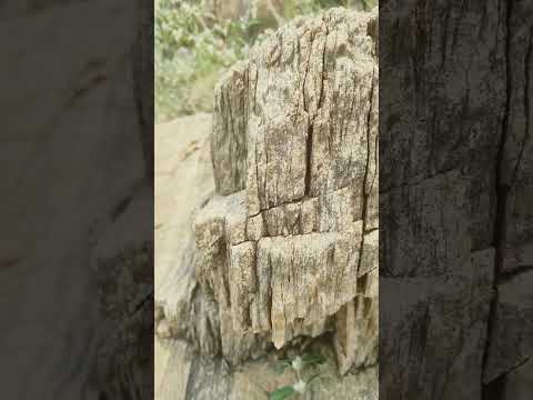 bavani#rock#Nature