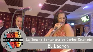 La Sonora Santanera de Carlos Colorado performs El Ladron