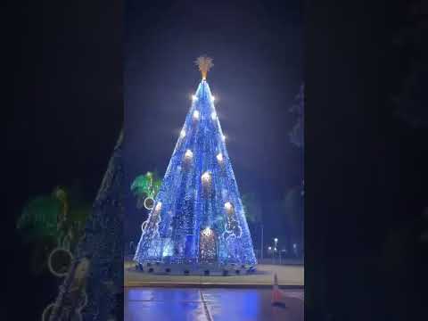 #ARBOLITODENAVIDAD.         #AVELLANEDA SANTA FE.