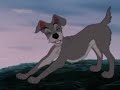 My Disney Music Videos Lady And The Tramp Takes One Week