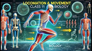 Locomotion and Movement | Class 11 Biology | Animated Explanation for Easy Learning!