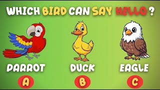 Download lagu Can Kids Guess Animals, Colors & Fruits? Find Out Now! 🍎 mp3 Download lagu Can Kids Guess Animals, Colors & Fruits? Find Out Now! 🍎 mp3