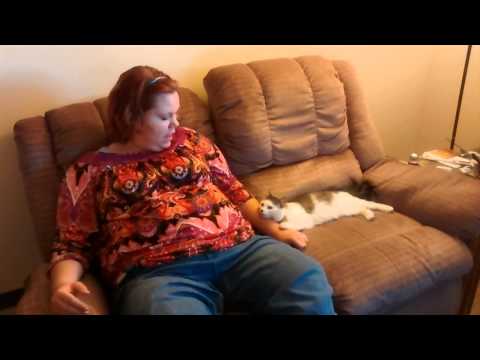 Cat's reaction to my singing