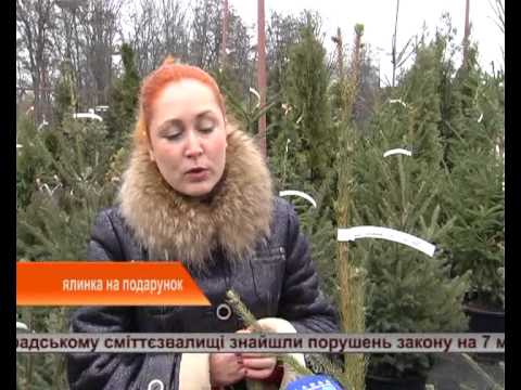 Дивіться новини ТТВ від 11.12