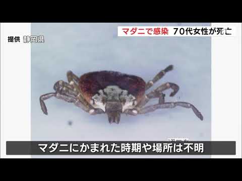 地中海紅斑熱について詳しく解説