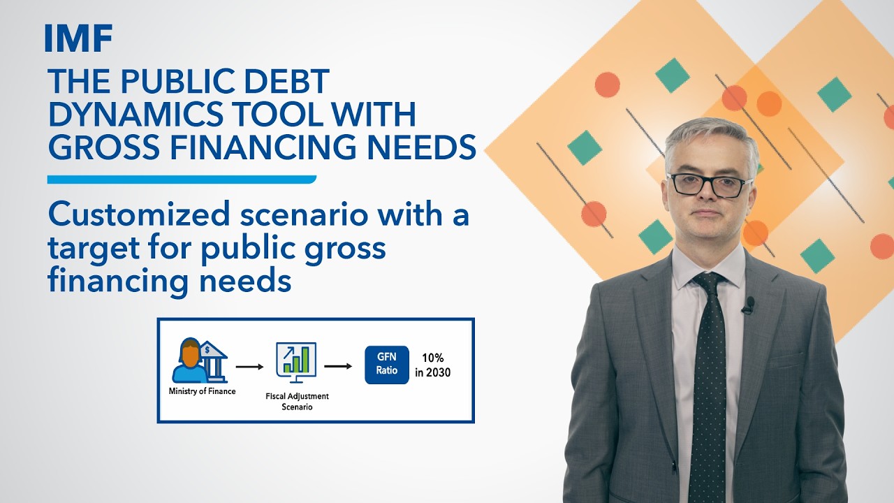 Customized scenario with a target for public Gross Financing Needs