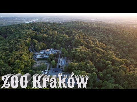 ZOO Kraków