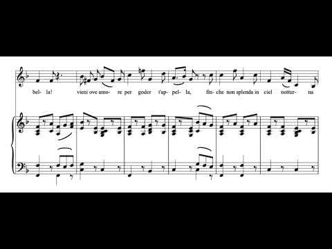 Deh vieni non tardar (Le Nozze di Figaro - W.A. Mozart) Score Animation