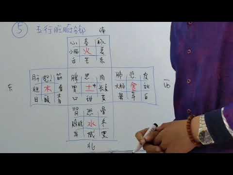 五行 內臟