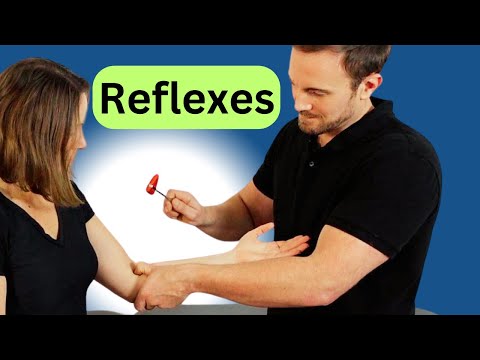 DEEP TENDON REFLEXES