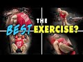 The Best Exercise MYTH