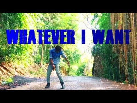 Alexx Mack - WHATEVER I WANT (Pop Culture Remix) | DANCE