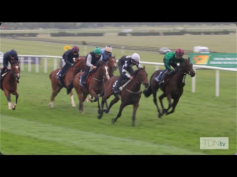 ITM Barrier Trials Proving Successful For Irish Industry