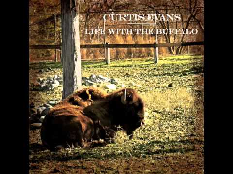 Curtis Evans - Lion in Winter