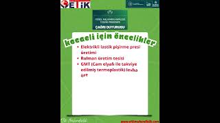 Yerel Kalkınma Hamlesi Teşvik Programı