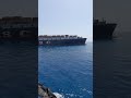 M V MSC ANTONIA Grounding At Red Sea 11 05 2025 India Marine Pakistan Arabic Philippines
