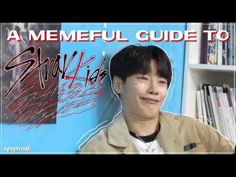 A MEMEFUL GUIDE TO STRAY KIDS