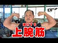 [上腕筋の進化]腕トレ