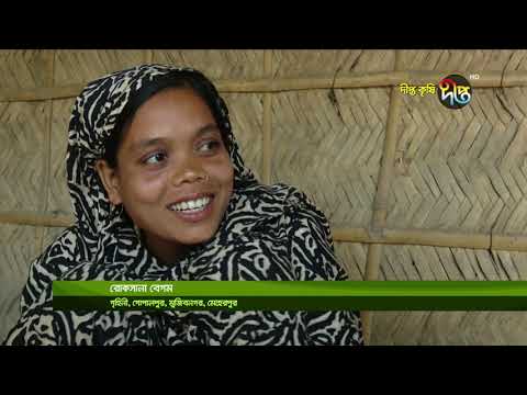 বায়ো গ্যাস পল্লী, গোপালপুর, মুজিবনগর, মেহেরপুর।