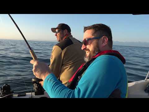 Field Guide — curated fishing videos for Red Rover crew