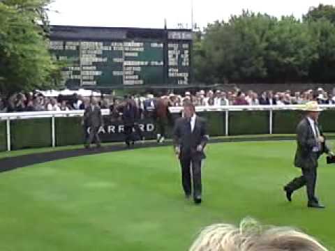 Frankel and Canford Cliffs in the Parade Ring, Sussex Stakes 2011, Goodwood.