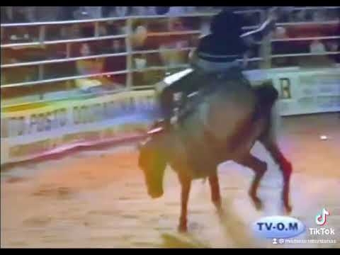 Rodeio de  Douradina 2004 Jose Damiao da Silva Montaria em cavalos estilo cutiano no Cavalo Triunfo
