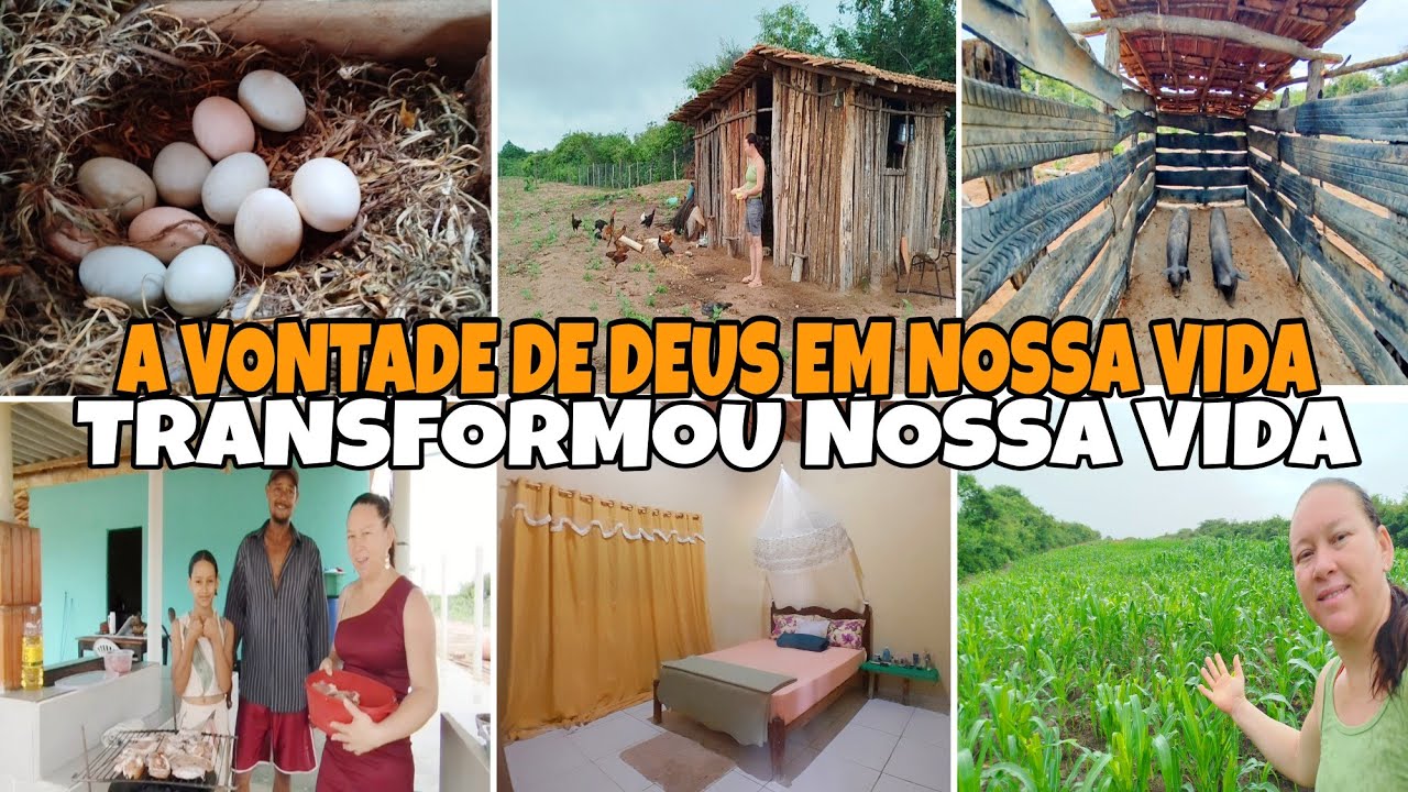 O SÍTIO ESTÁ DIFERENTE MUITAS BENÇÃOS DE DEUS *GANHAMOS UM PRESENTE * nosso primeiro Natal no sítio