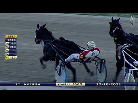 Aversa trotto 27 Ottobre 2021 - 7° Corsa