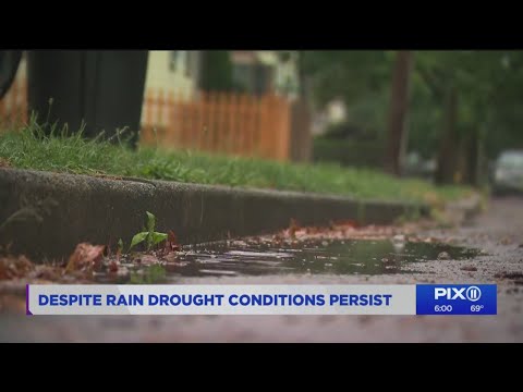 All-day rain takes edge off drought, but it remains
