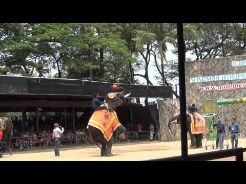 Парк Нонг-Нуч  -  шоу со слонами (часть 2)