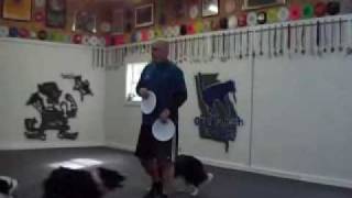 Disc Frisbee Dog Training &quot;Basic Standard Backhand Floater Throw&quot;