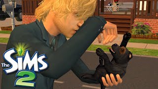 🙋🏼‍♂️ 2.5 Hours Slow Sims 2 Gameplay | Max's Adult Life Begins | No Commentary 🌻