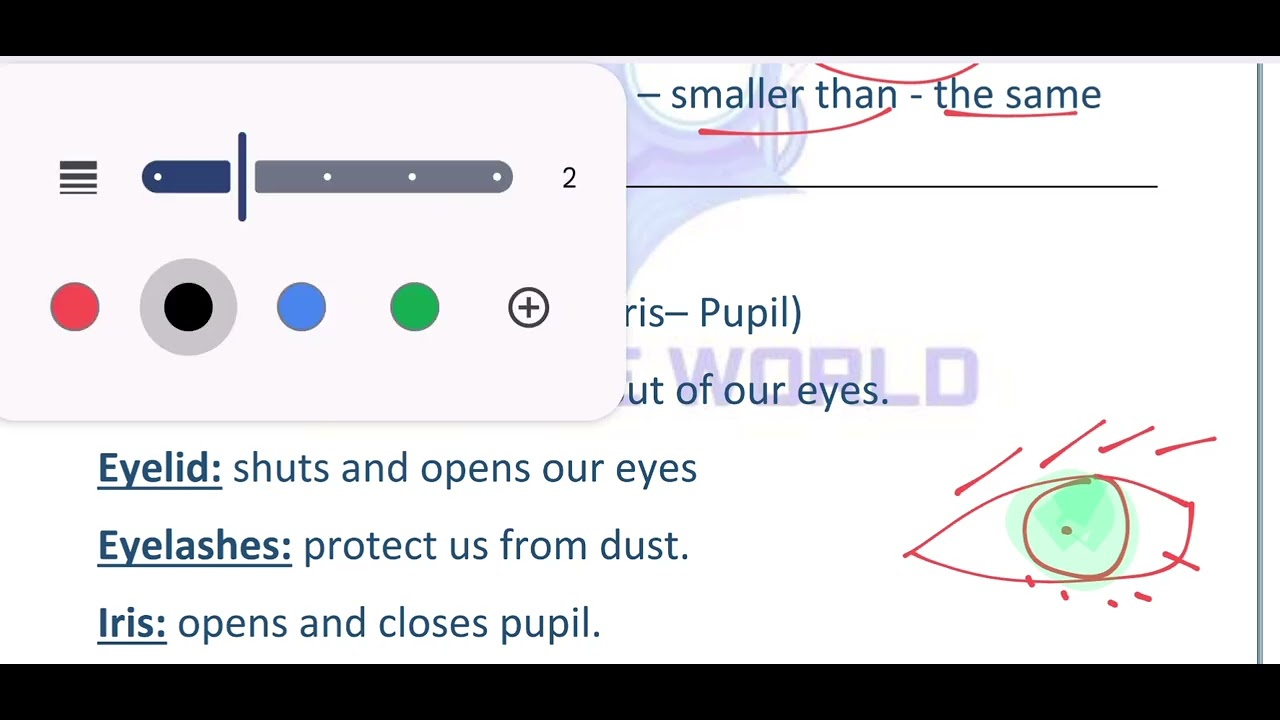 Science final revision, first term, Year 1