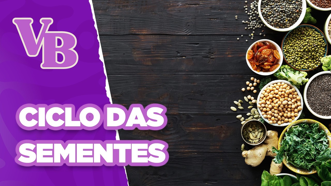 Benefícios das SEMENTES nas fases do CICLO MENSTRUAL - Você Bonita (04/09/2024)