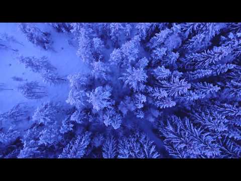 Zima (Brice Davoli - Castle In the Sky)