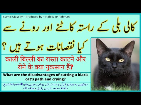 Kaali Bili Kay Raasta Katnay Aur Ronay Say Kya Nuqsanaat Hotay Hain