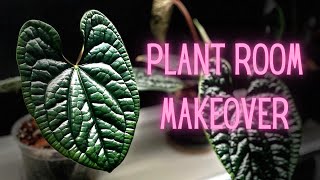 Plant Room Makeover! ✨