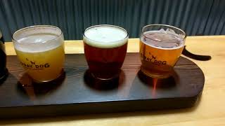 Orleans First Craft Brewery!